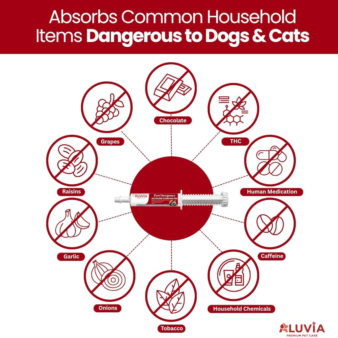 Pawmergency Activated Charcoal