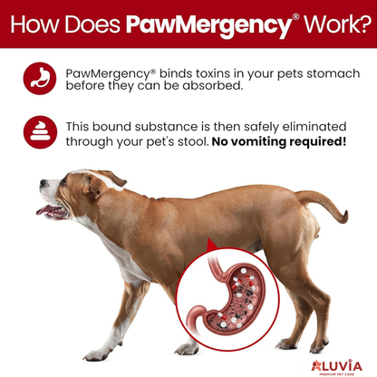 Pawmergency Activated Charcoal