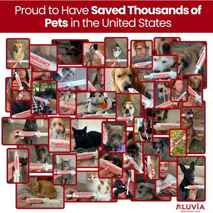 Pawmergency Activated Charcoal