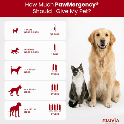 Pawmergency Activated Charcoal